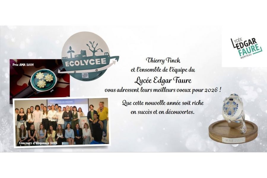 Meilleurs vœux pour cette nouvelle année!